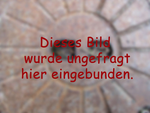 Zur�ck zu Workshops